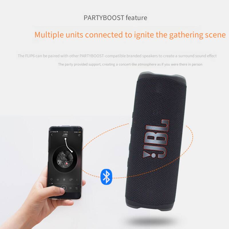 Altoparlante portatile Bluetoo - Jbl Speaker Flip 6 recensione e prezzo